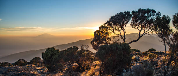 kilimanjaro group climb cost 